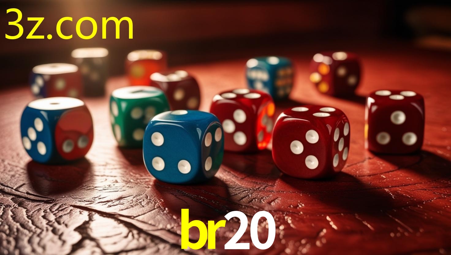 BR20