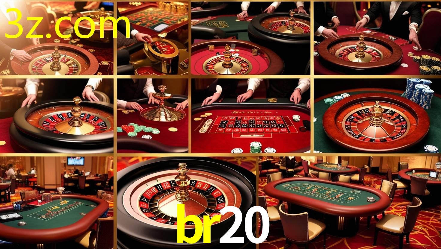 BR20